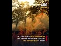 ישראלי נעצר בחשד שגרם לשריפת ענק בכרתים