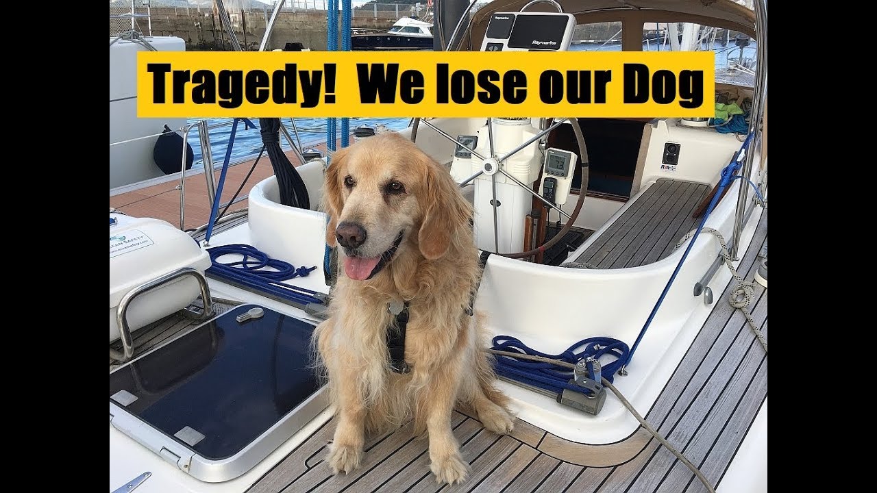 Ep 41 Tragedy! We Lose Our Dog (Sailing Talisman)
