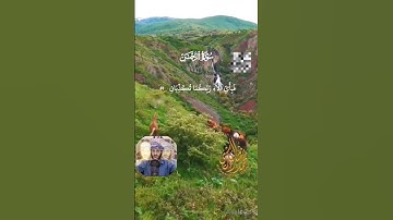 من سورة الرحمن للقارئ محمد نصر البكري