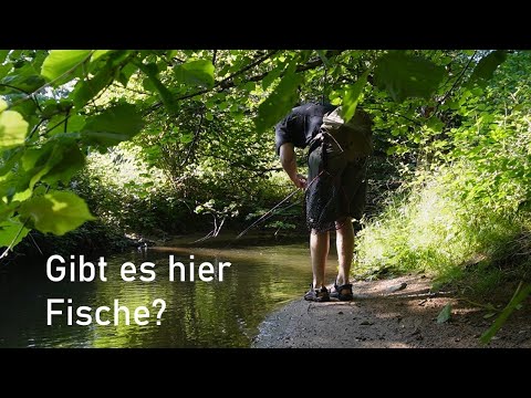 Traumhaftes ANGELN am