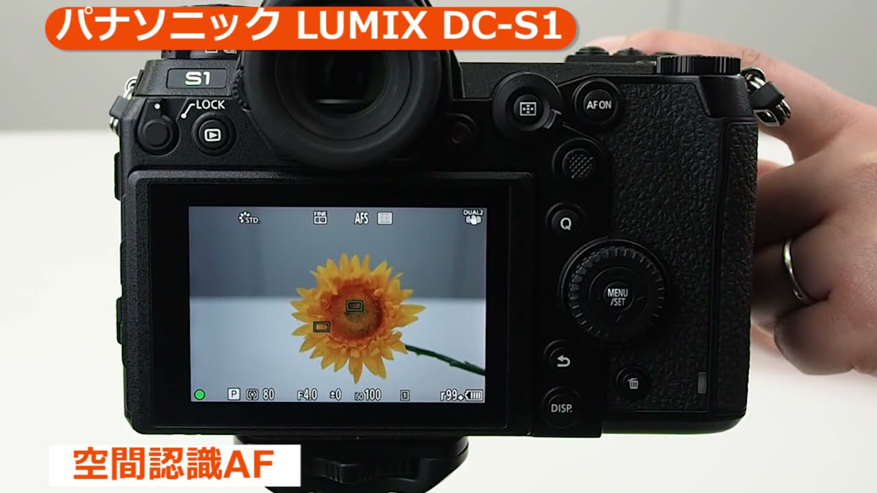 パナソニック ルミックス S1M 2420万画素 DC-S1M-K