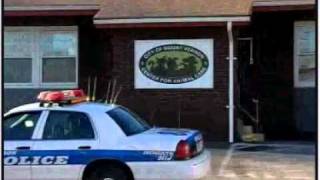Mt Vernon Animal Shelter - Stratagem