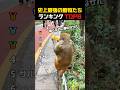 音を確認しないでください😭😭