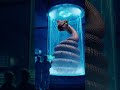 wtf the bigger snake oh my god