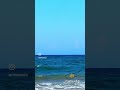 🐢Alagadi Turtle Beach / Esentepe / Girne / Kyrenia🔆Kuzey Kıbrıs / North Cyprus #kıbrıs