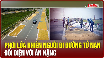 Phơi lúa khiến người đi đường tử nạn: đối diện với án nặng | Mekong