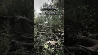 Comments #lyrics #vent #venting #ventingtiktok #music #real #relatable