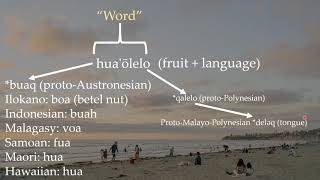 Comparisons between Hawaiian and other Austronesian languages PART 1