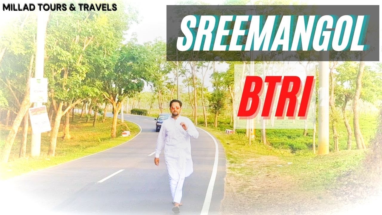অপরূপ রাস্তা শ্রীমঙ্গল বিটিআরআই । Awesome road Srimangal BTRI শ্রীমঙ্গল