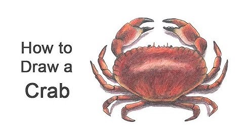 How to Draw a Crab