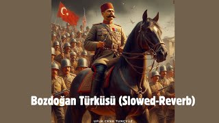 Bozdoğan Türküsü (Slowed - Reverb) Resimi