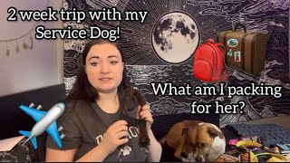 Packing for a 2 week trip with my Service Dog! by Colorado Service Mutt 1,102 views 1 year ago 13 minutes, 54 seconds