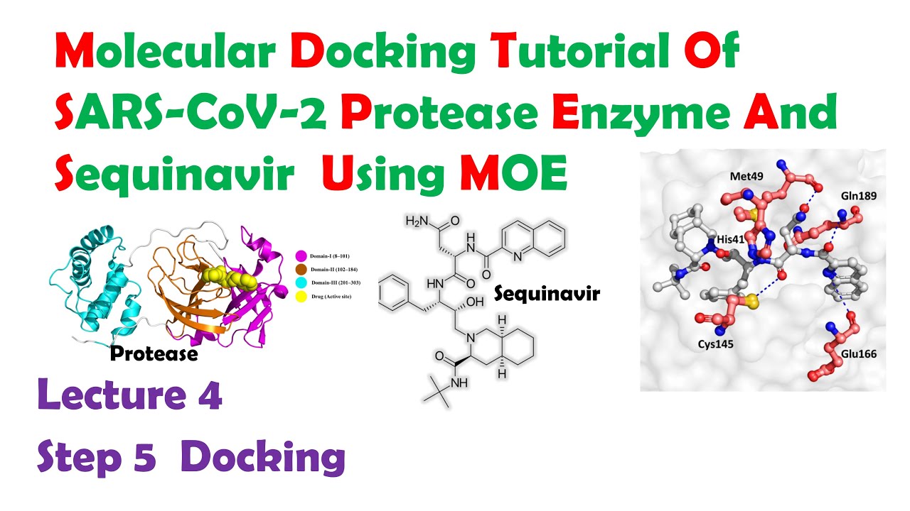 Molecular Docking tutorial of SARS-CoV-2 protease enzyme and Sequinavir ...