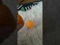 We made a emoji toy (fake)