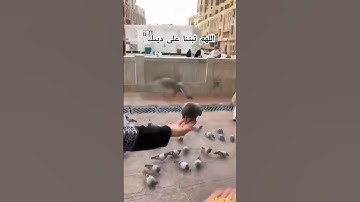 "الشيخ عبدالرحمن مسعد | تلاوة خاشعة لآيات: قد أفلح من تزكى وذكر اسم ربه فصلى"