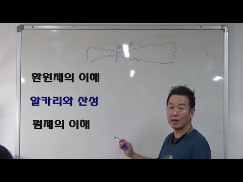 1. 환원제 특성, 알카리펌제와 산성펌제의 이해,정홍섭 열펌