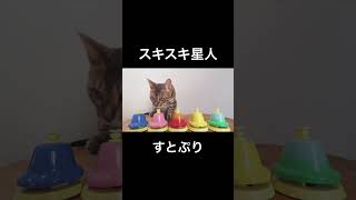 猫様は賢い！！ #shorts #ベンガル猫 #スキスキ星人 #すとぷり