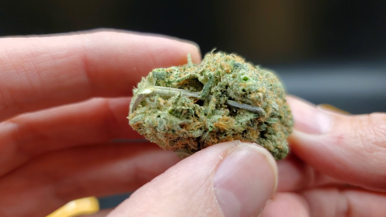 Mail Order Marijuana Unboxing Video -Silly Smoke Online Dispensary