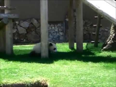 滑り台の下に潜る優浜　2013.05.24
