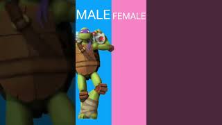 Genderswap edit #shorts  Teenage Mutant Ninja Turtles Resimi