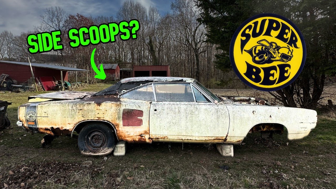 Наткнулся на несколько суперпчёл 1969 года! Надеюсь, нас не жалят!