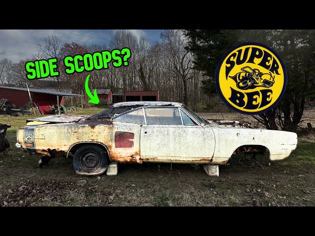 Stumbled across a few 1969 Super Bees! Hope we don't get STUNG