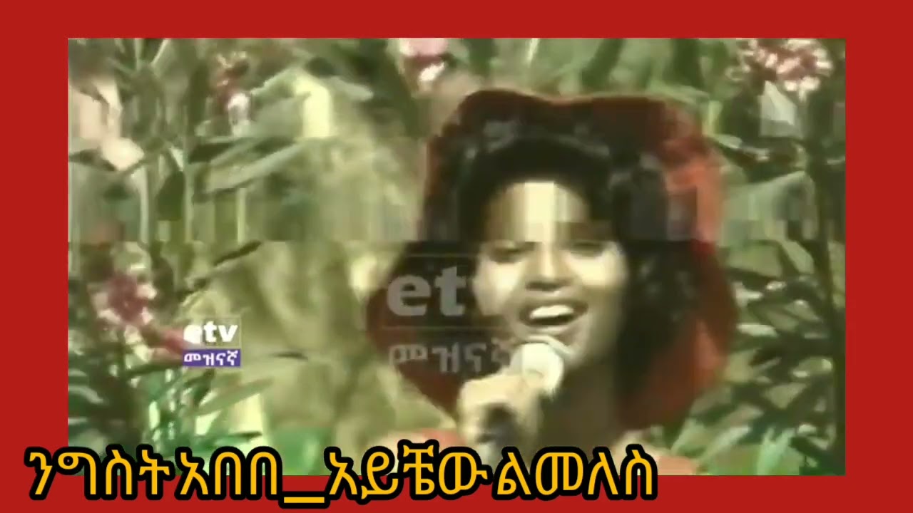 Nigist Abebe _ Ayichew Limeles ንግስት አበበ _ አይቼው ልመለስ