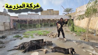 العاصفة تضرب المزرعة 