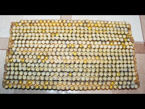 ფუტკრის რძე (futkris rdze )