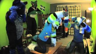 Yet another furry Harlem shake