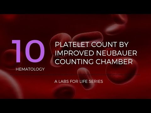 Video: Jak snížit počet krevních destiček: 12 kroků (s obrázky)