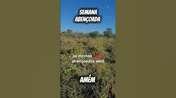 você será abençoado #palavraquesalva #videoshort #reflexão #fe #deusnuncafalha