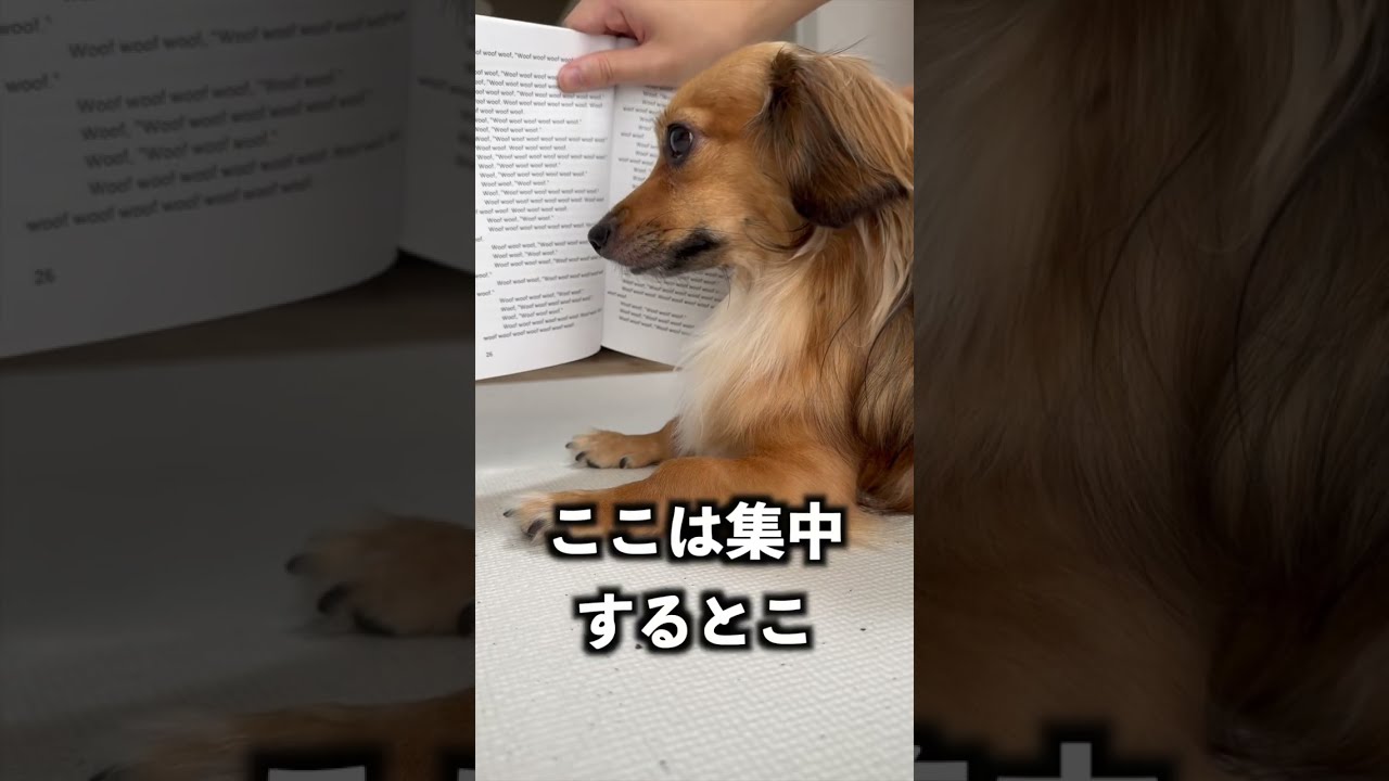 A1OvWOSGgcL._AC_UF350,