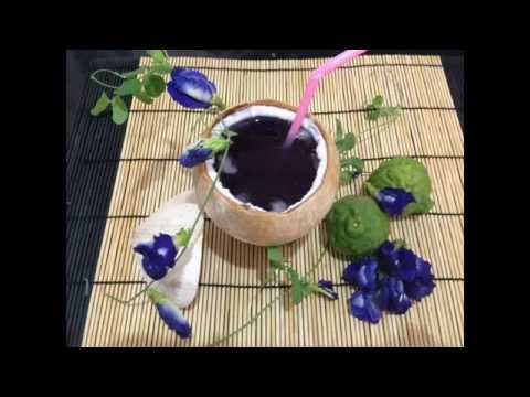 butterfly-pea,-coconut,-kaffir-lime-juice-recipes.-น้ำมะพร้าวอัญชัญมะกรูด