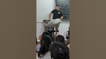 Founder by super climax Academy er. maroof sir ❤️💪#viral #trendingshorts #love teacher