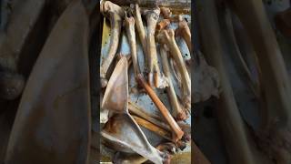 How we use deer bones to make broth and organic fertilizer #growyourownfood #offgridliving #venison