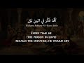 Fadia elhage  ayyuhassaqi classical arabic lyrics  translation      