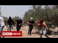 Palestinians and Israelis clash over hillside - BBC News