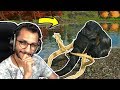 أرك سييرفايفل ترويض العملاق مومو ARK Survival Valguero 