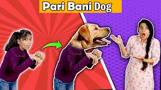 OMG !!! Pari Ban Gayi Dog I Funny Story I Pari's Lifestyle