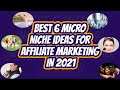Top 6 Best Affiliate Marketing Niches in 2021, Highest Paying Affiliate Programs, Micro Niche Topics
