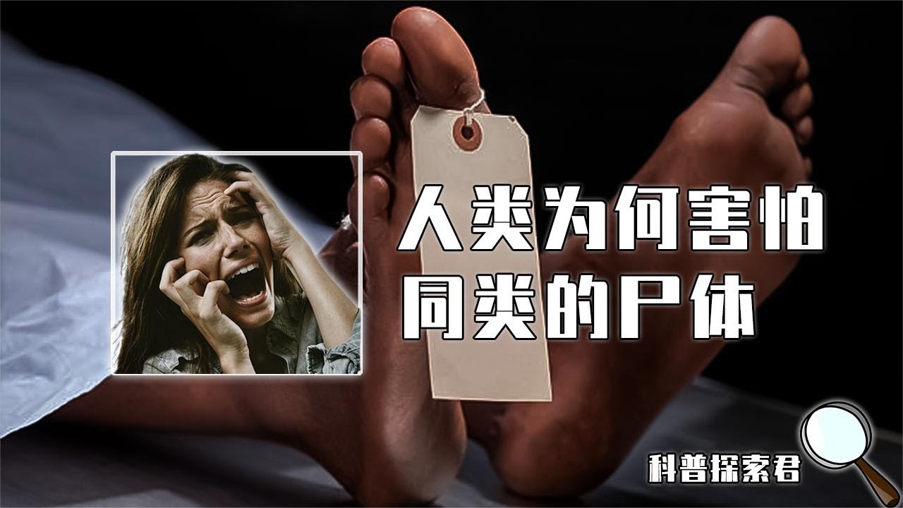 杀人分尸楼栋无人敢住?人类为何害怕同类尸体,却不害怕动物的? - YouTube