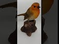 Product demo vivid arts robin song bird