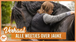 Het Verhaal Van Jauke