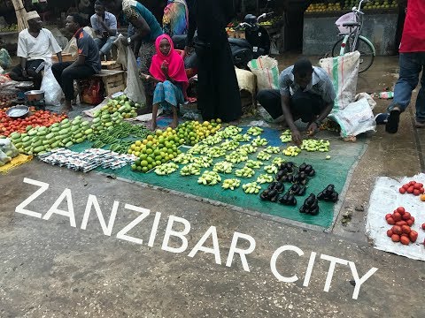 Wideo: Przeniesienie Schistosomatozy Układu Moczowo-płciowego Na Wyspę Unguja, Zanzibar: Charakterystyka Trwałych Punktów Zapalnych