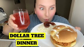 Can You Make Dinner With Only Food From The Dollar Tree?!?!? Canadian Edition