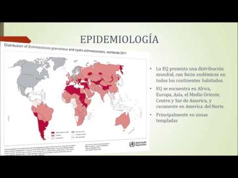 Vídeo: Equinococosis: Diagnóstico, Síntomas, Tratamiento De La Enfermedad