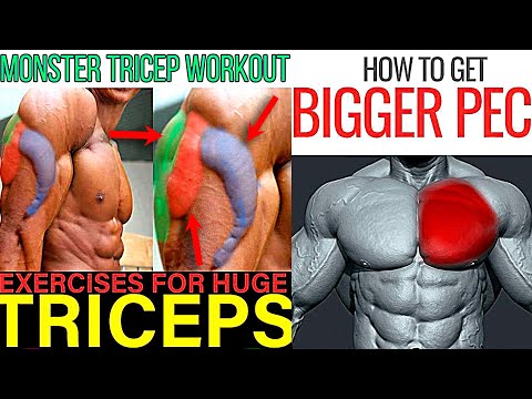 14 Best Chest and Triceps Exercises You Should Be Doing