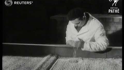 Drying plants to preserve grain harvest (1946)