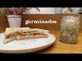 Crea un huerto dentro de casa // Cómo hacer germinados